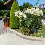 아파트 Branko 프루이