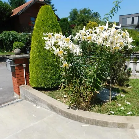 Apartment Branko Ptuj